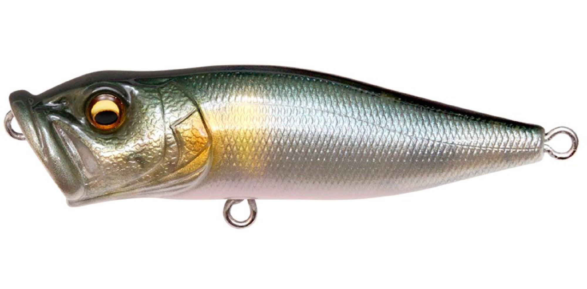 Megabass Pop X Standard 64 mm 7 grams Floating Lure FA Wakaayu (0458)