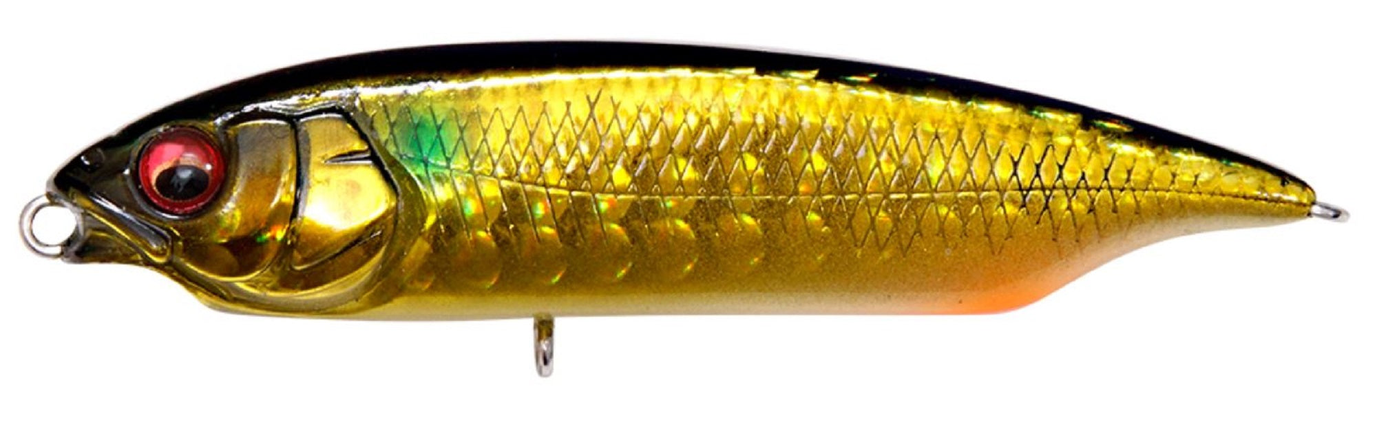 Megabass Karashi SW FS Fast Sinking Lure GG Kinbora (0809)