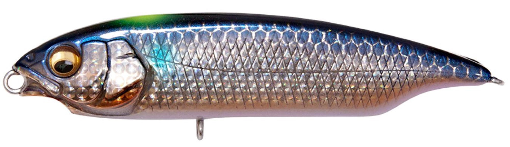 Megabass Karashi SW FS Fast Sinking Lure DD Signal Inakko (0816)