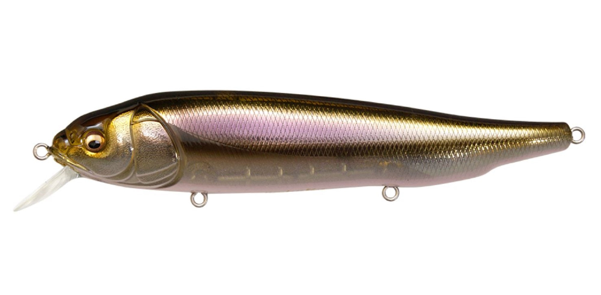 Megabass Lates Feeding Woofer 120mm Floating Lure HT Wakasagi (1660)