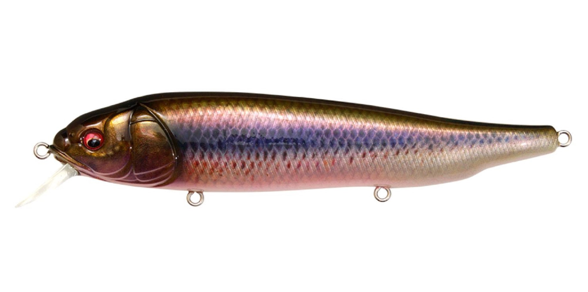 Megabass Lates Feeding Woofer 120mm Floating Lure FA Kawamutsu (1721)