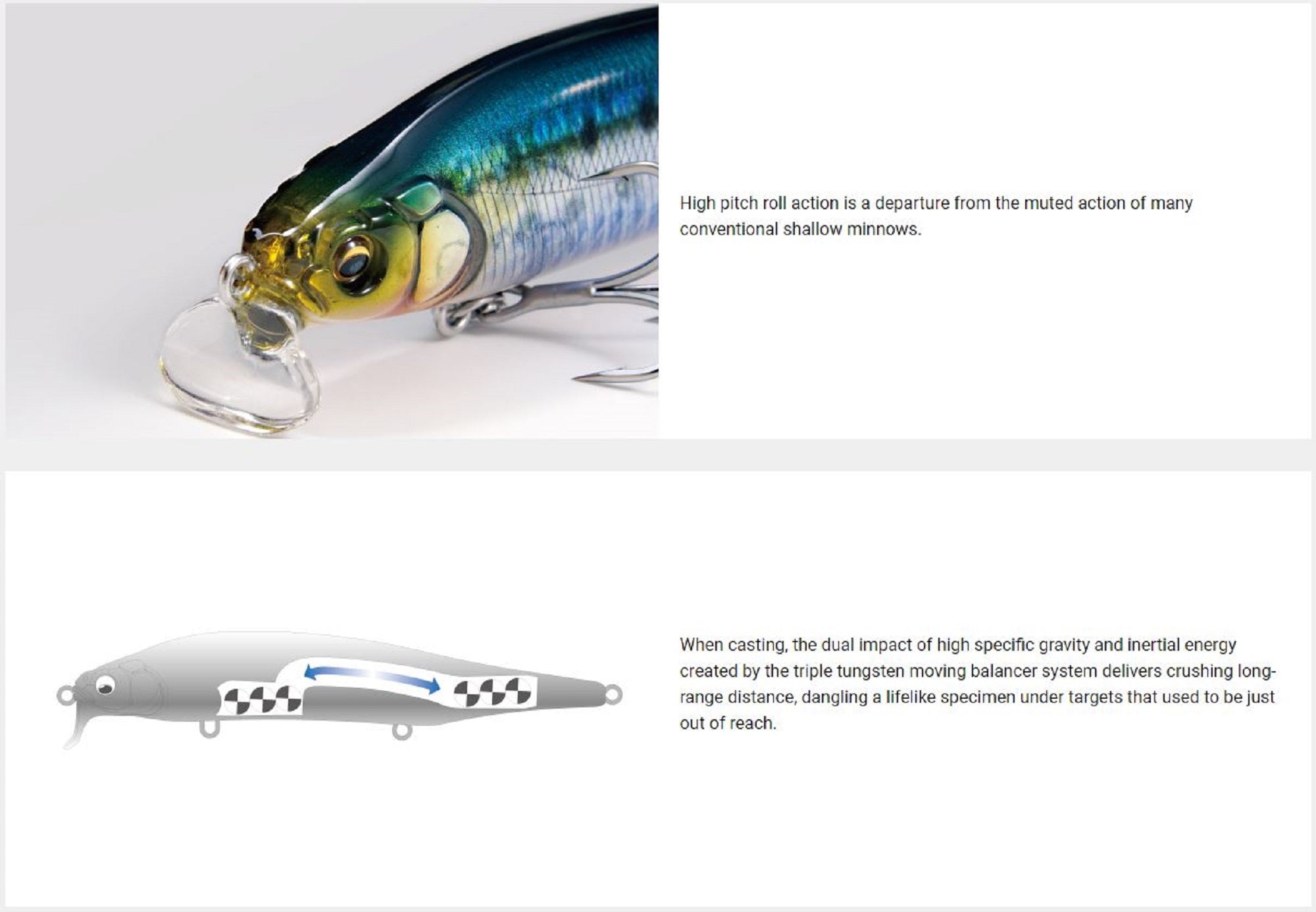 Megabass X-80 Magnum SR Floating Lure Wakin Ochiayu (2704)