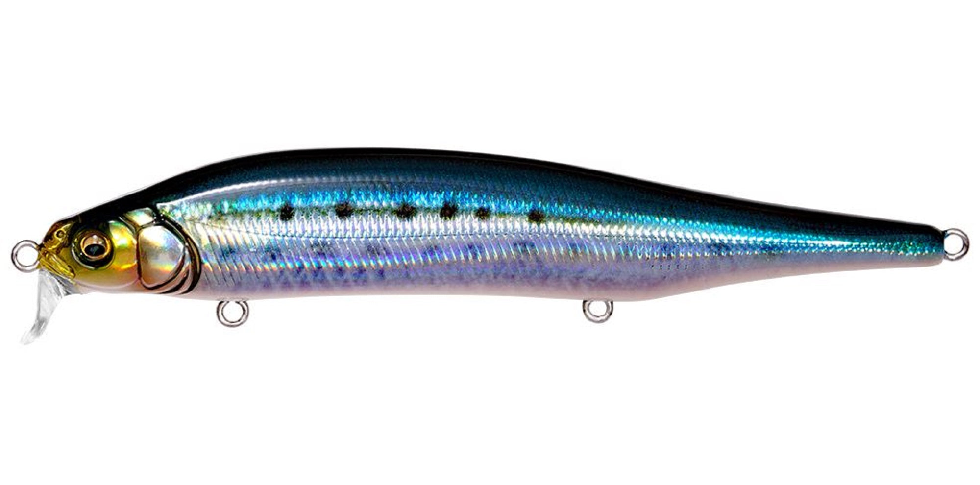 Megabass X-80 Magnum SR Floating Lure FA Iwashi (2742)