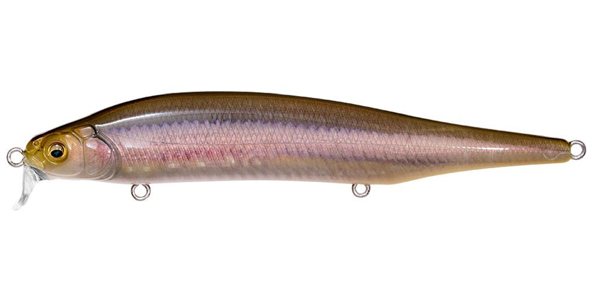 Megabass X-80 Magnum SR Floating Lure FA Hamakisu (2766)
