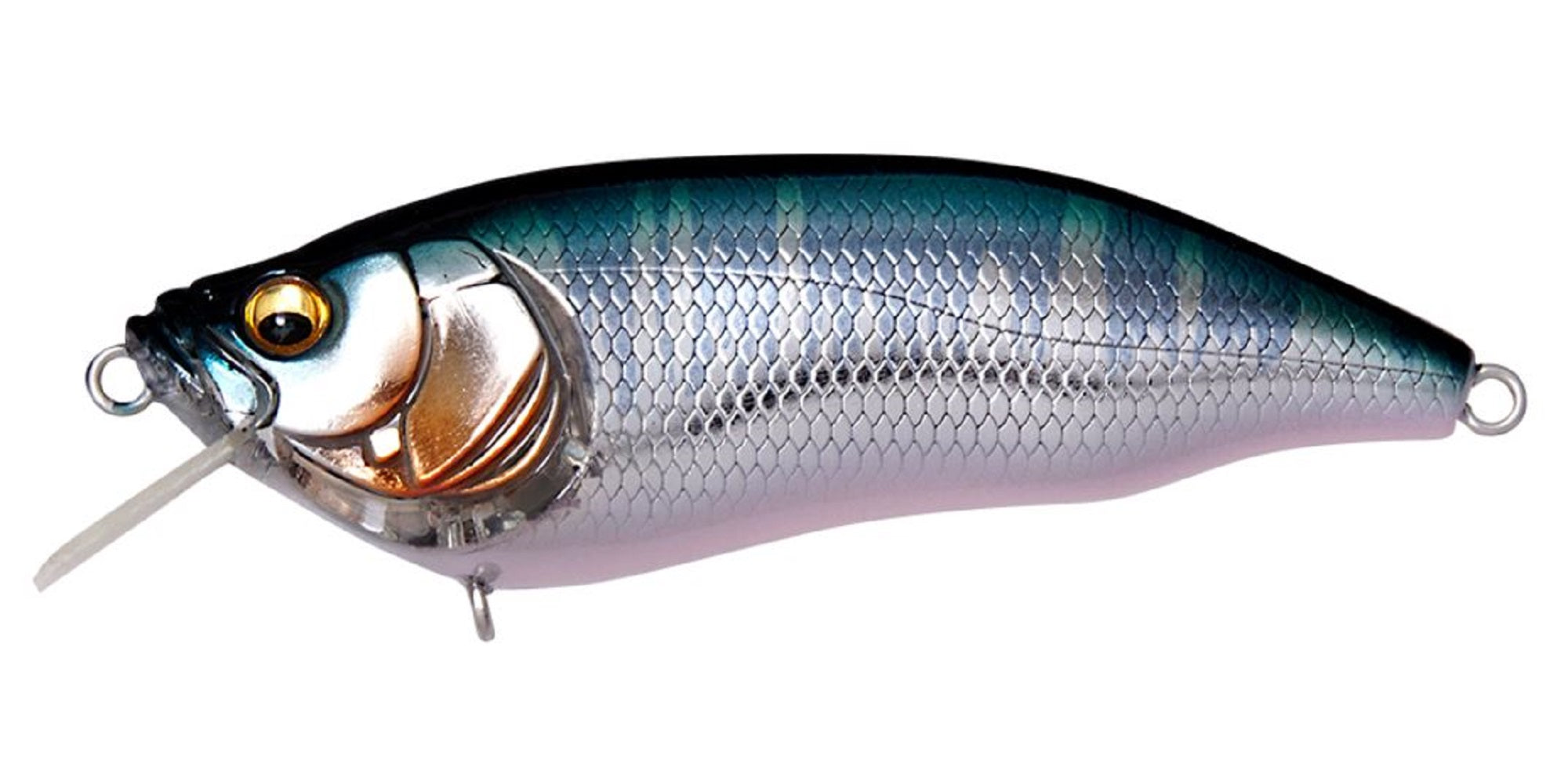 Megabass I X I Furious 0.5 64 mm 1/4 oz Floating Lure Wagin Hasu (2208)