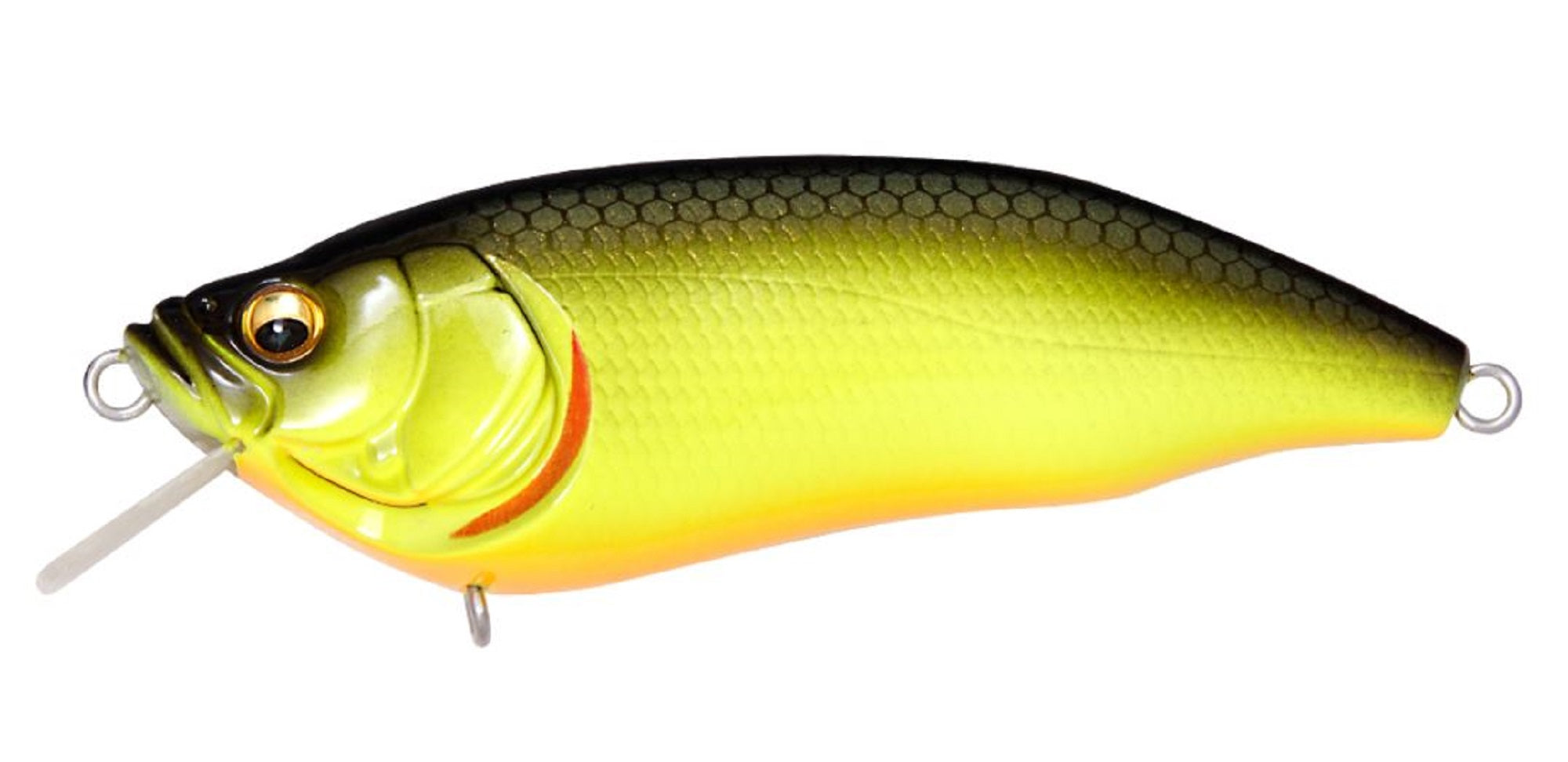 Megabass I X I Furious 0.5 64 mm 1/4 oz Floating Lure BBC (2277)