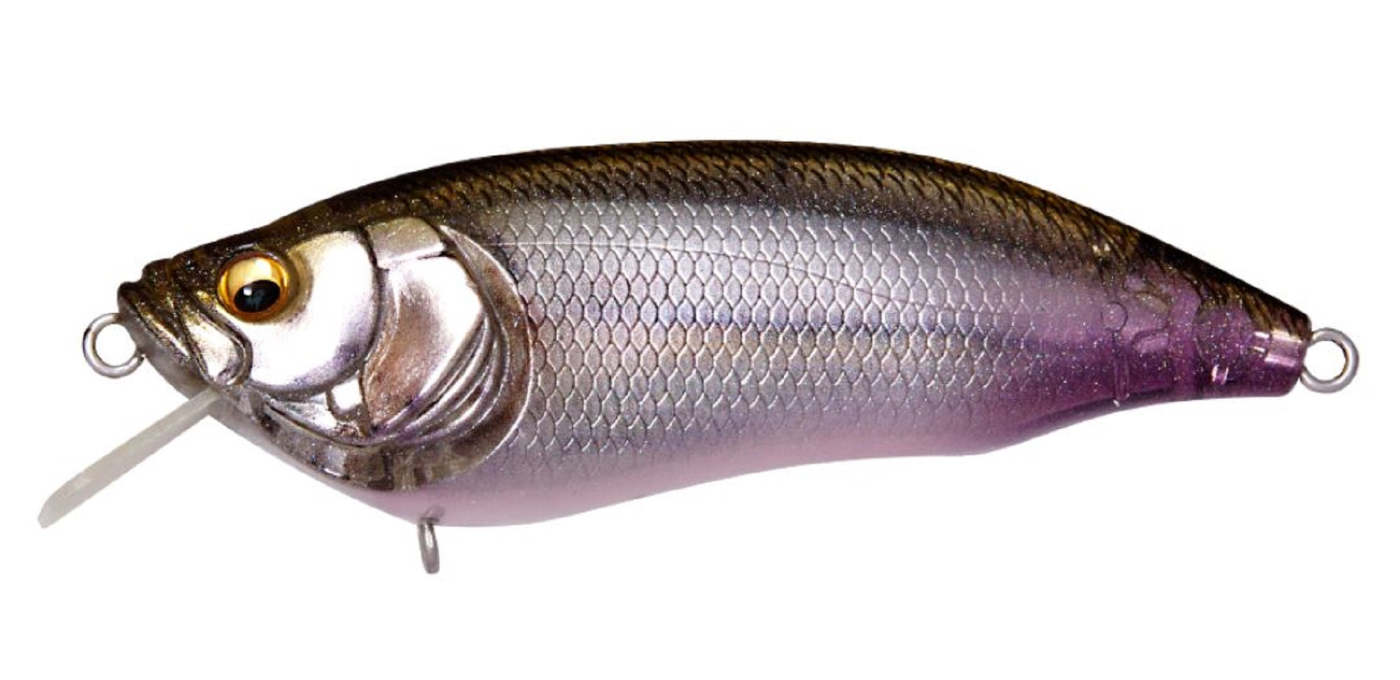 Megabass I X I Furious 1.5 64 mm 1/4 oz Floating Lure FA Wakasagi (2338)