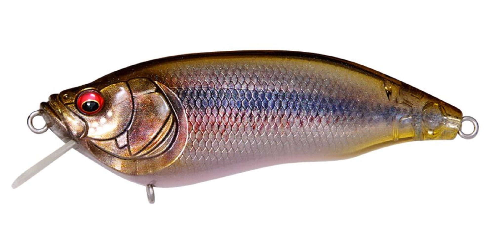 Megabass I X I Furious 1.5 64 mm 1/4 oz Floating Lure FA Kawamutsu (2345)