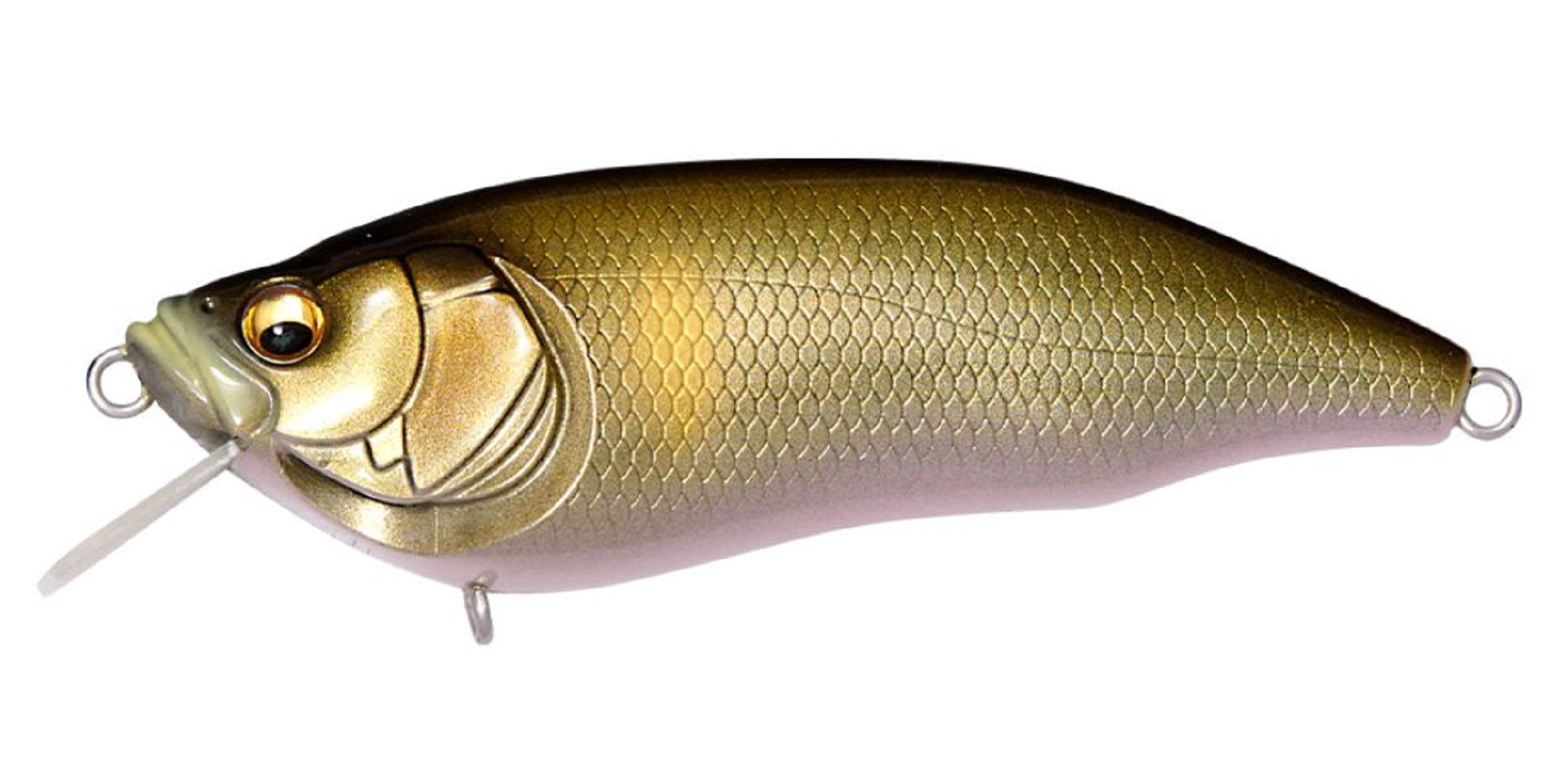 Megabass I X I Furious 1.5 64 mm 1/4 oz Floating Lure FA Tenryu Ayu (2352)