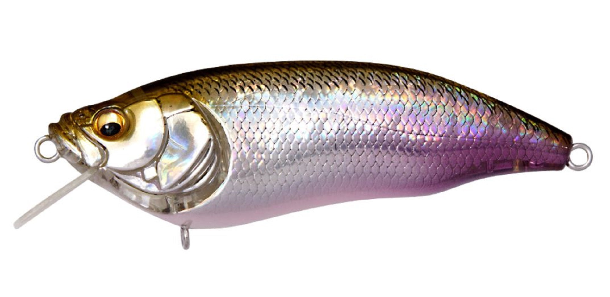 Megabass I X I Furious 1.5 64 mm 1/4 oz Floating Lure GG Wakasagi (2376)