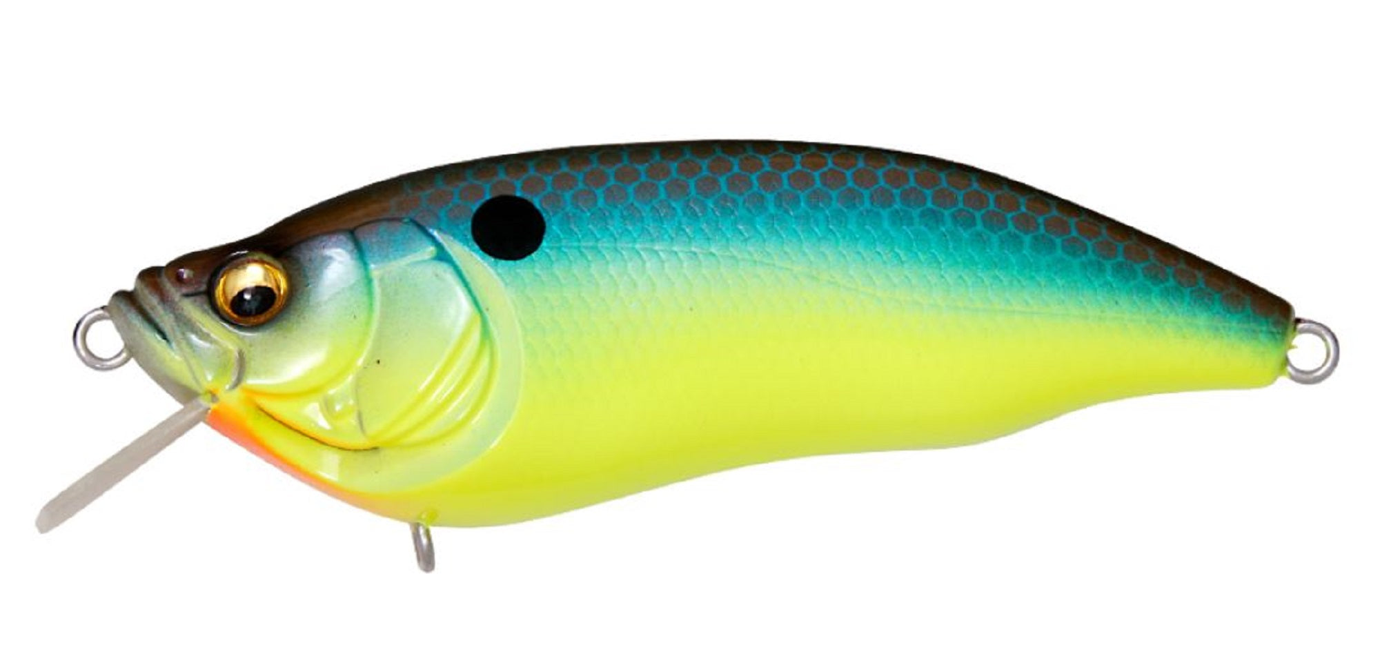 Megabass I X I Furious 1.5 64mm 1/4 oz Floating Lure Megabass Bream (2482)