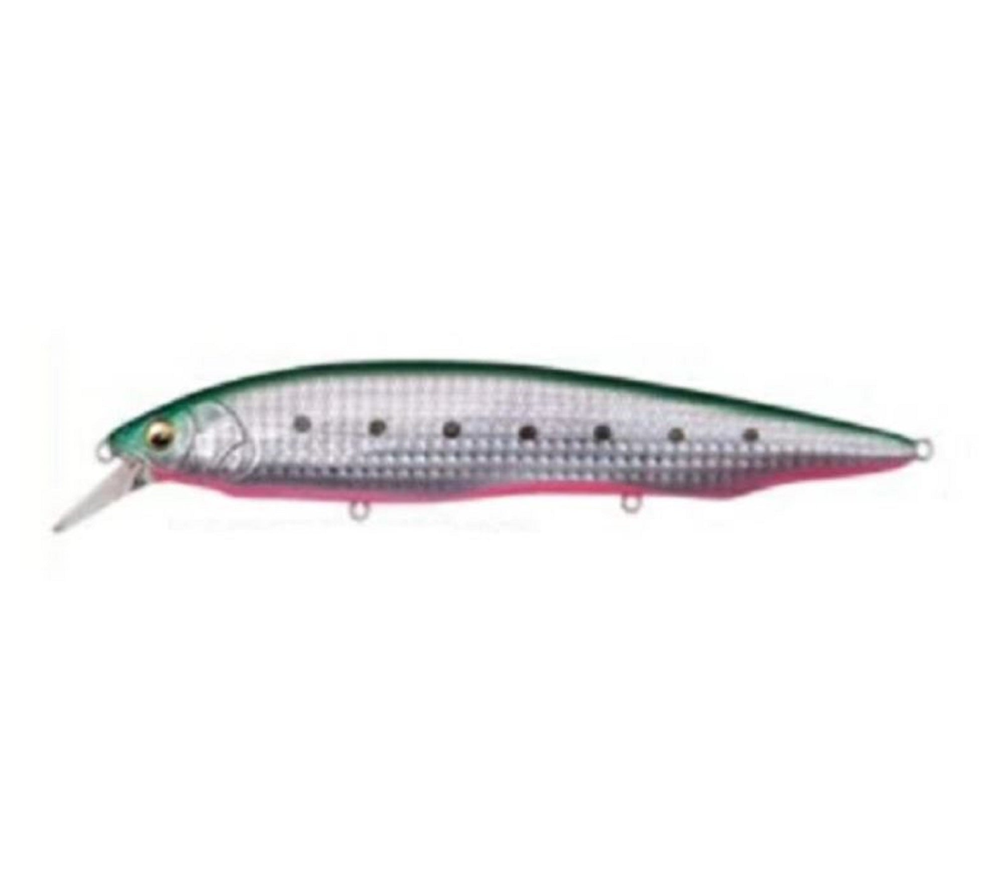 Megabass Kanata Ayu SW 160 Floating Lure GG Reaction Iwashi (5629)