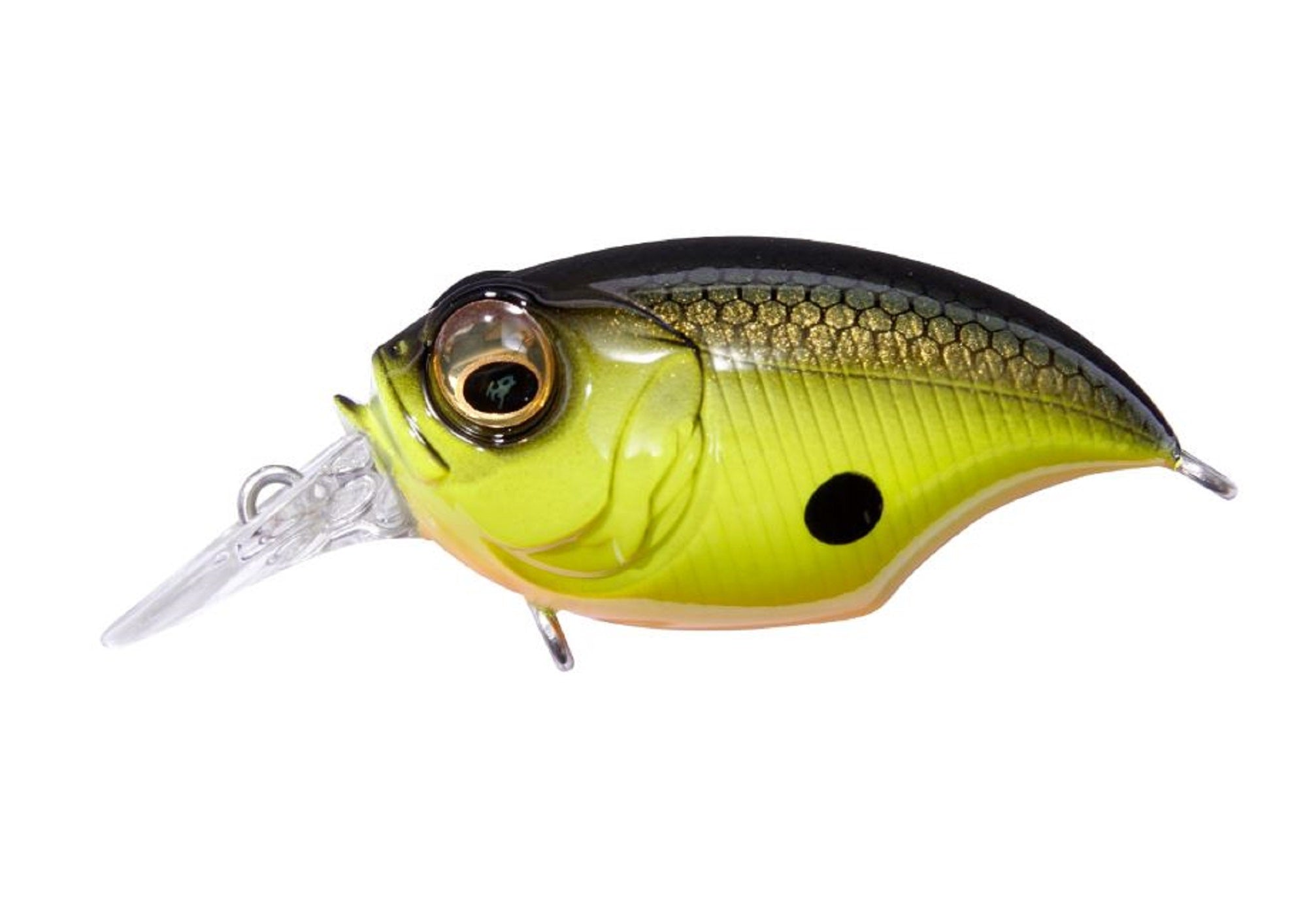 Sale Megabass Griffon SRX 43 mm 7 grams Floating Lure BBC (1866)