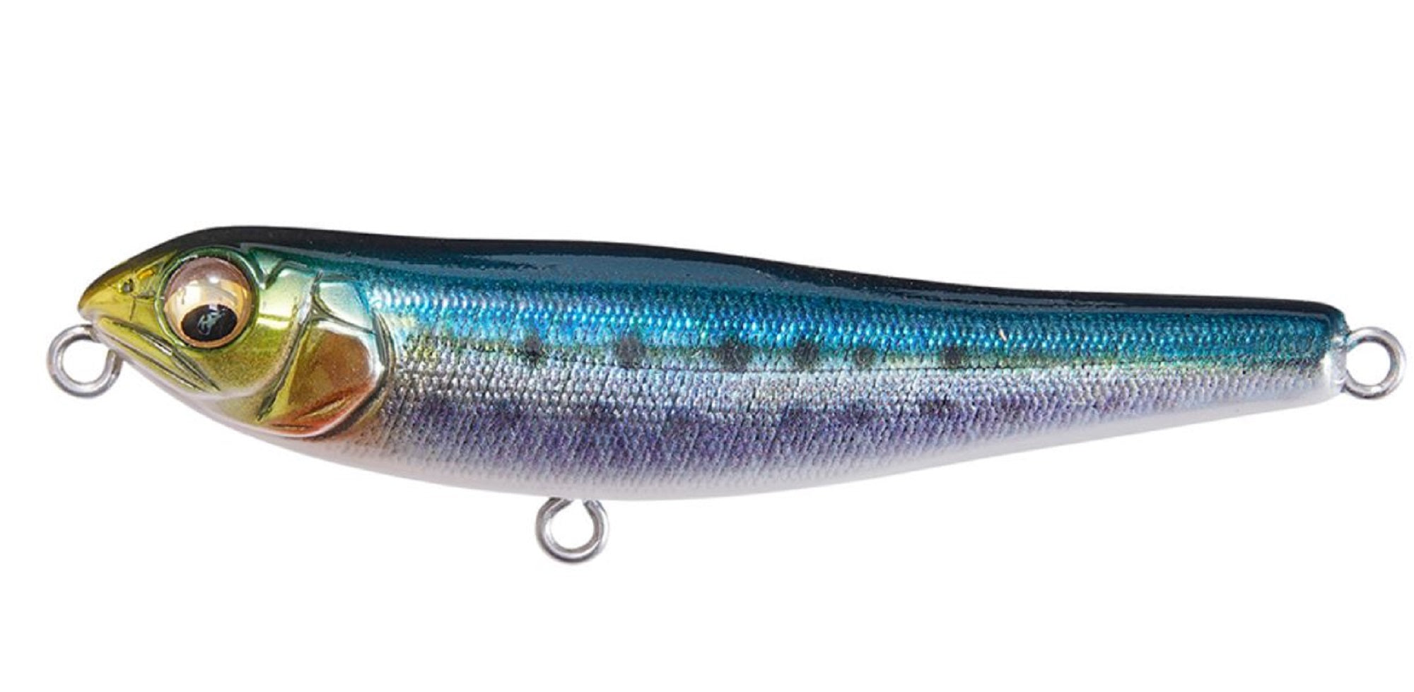 Megabass Dog X JR SW 71 mm 6.5 grams Floating Lure FA Iwashi (2092)