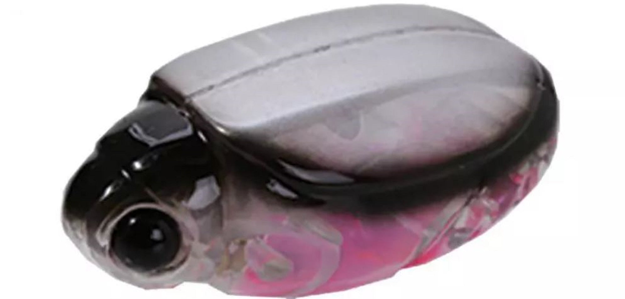 Bassday Beetle Bun 30F Floating Lure 4.5 grams 344 (3402)