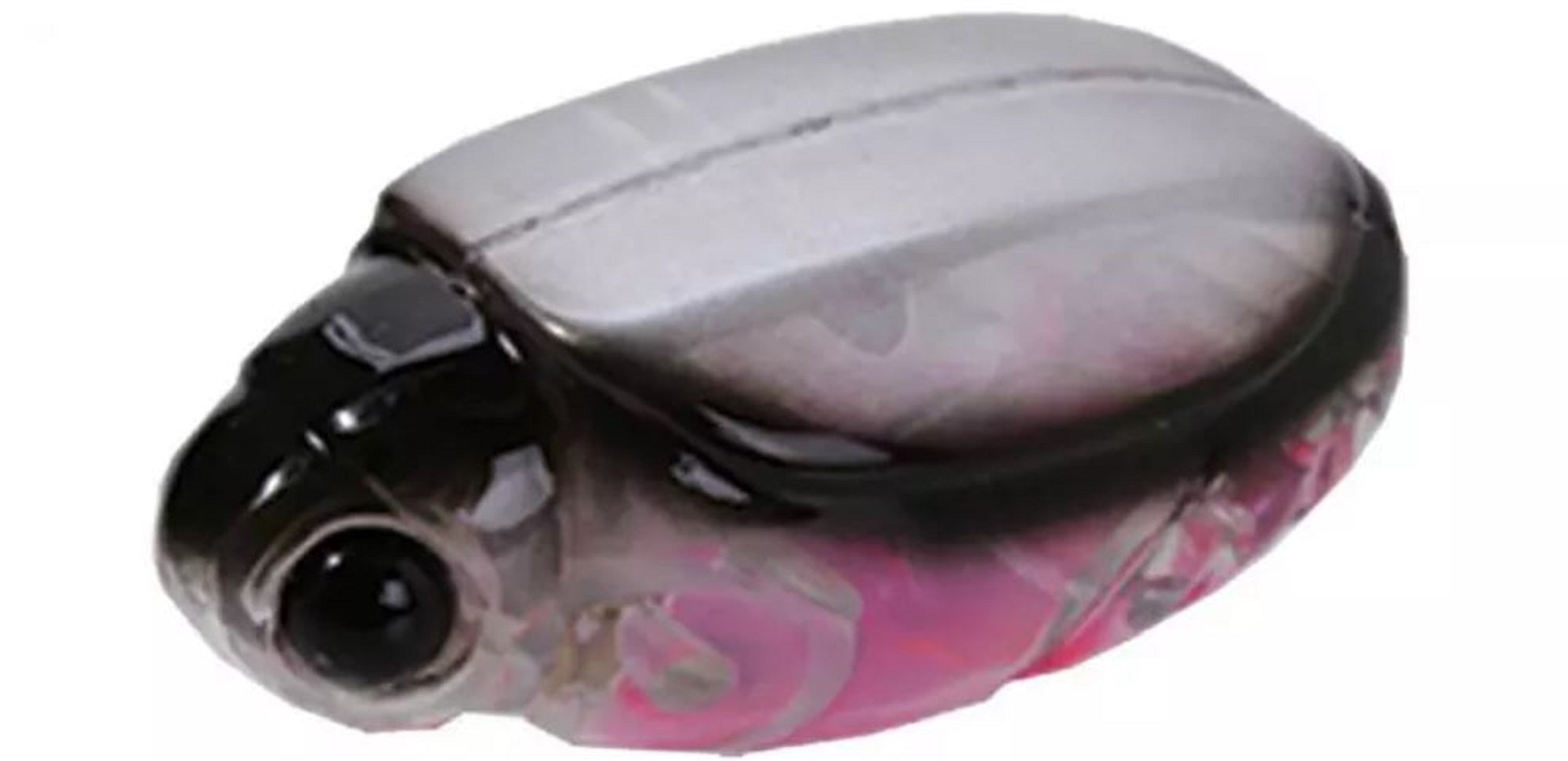 Bassday Beetle Kobun 20F Floating Lure 1.3 grams 344 (4215)