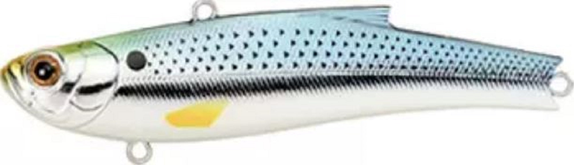 Bassday Range Vibe 45 ES Extra Sinking Vibration Lure M-240 (5201)