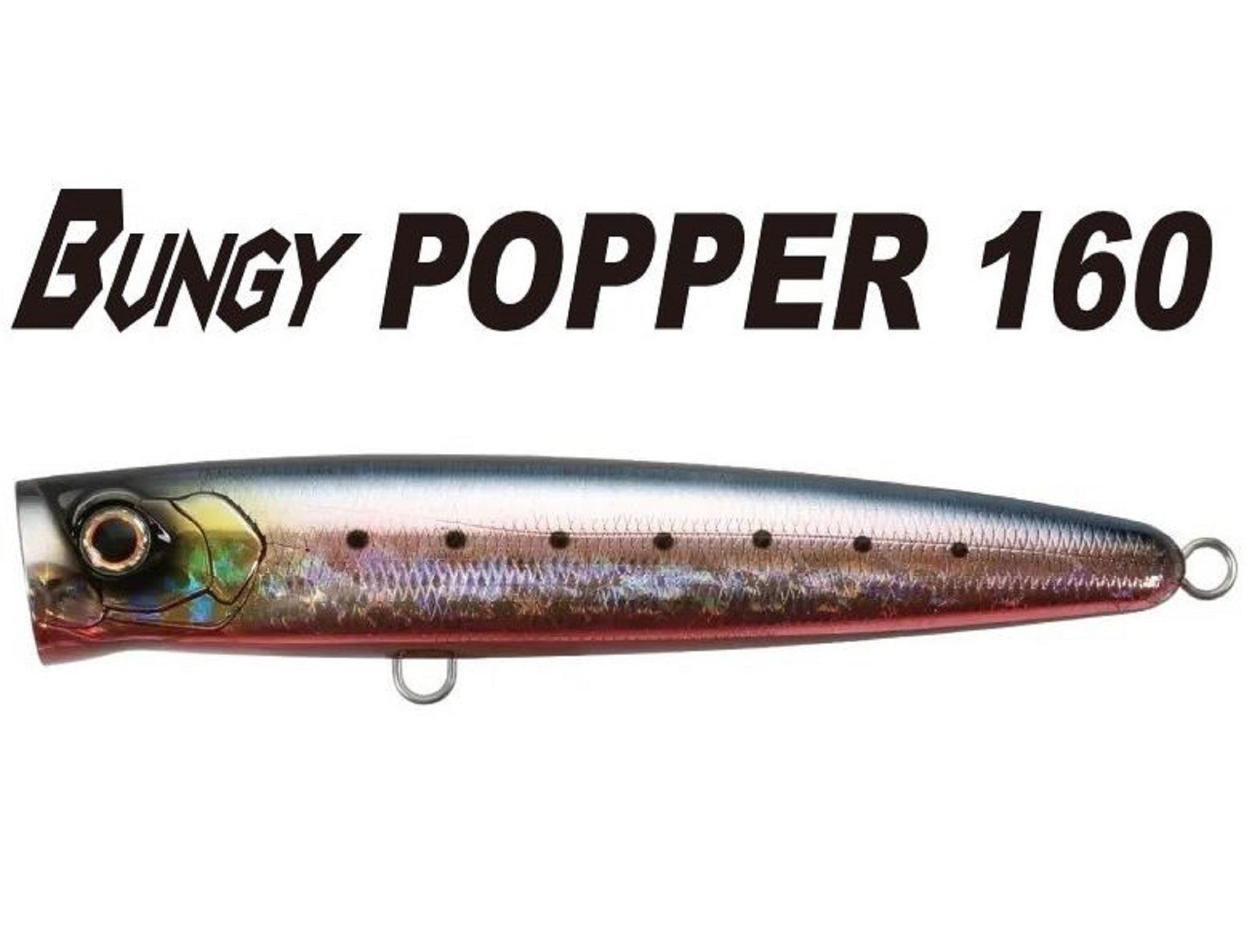 Bassday Bungy Popper 160mm Floating Lure CH-71 (8063)