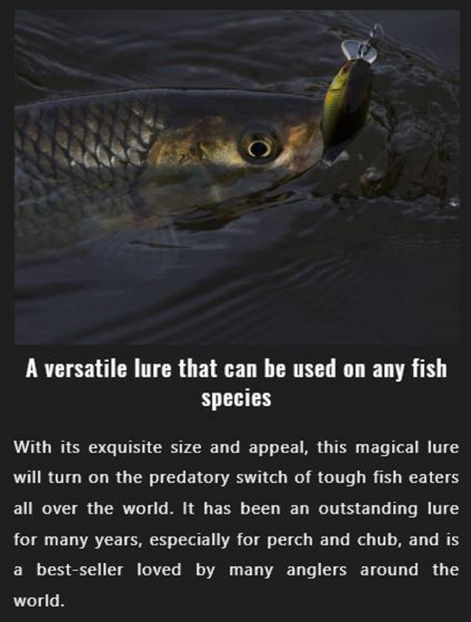 Jackall Chubby 38F Floating Lure Mat Chart (4588)