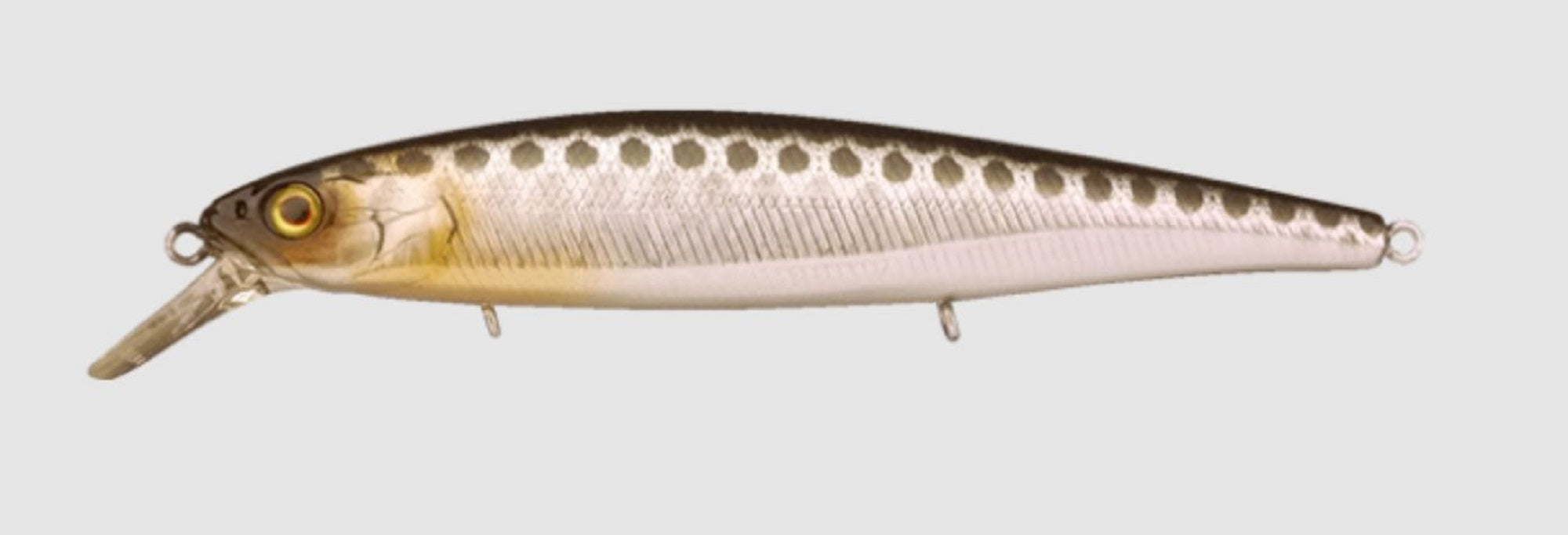 Jackall Magsquad 115SP Jerkbait Suspend Lure HL Silver Black (7554)
