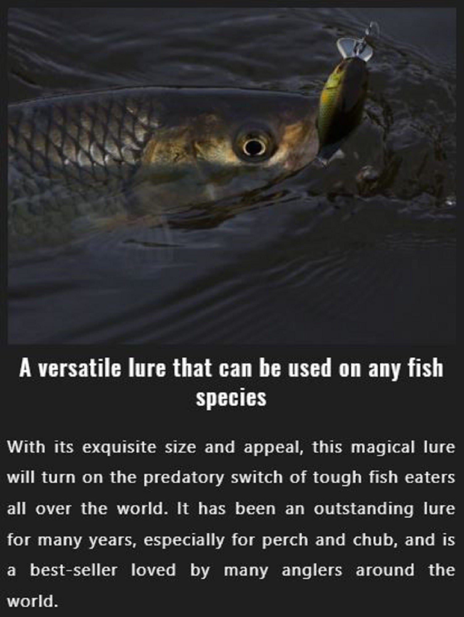 Jackall Diving Chubby 38 Floating Lure HL Shad (0352)