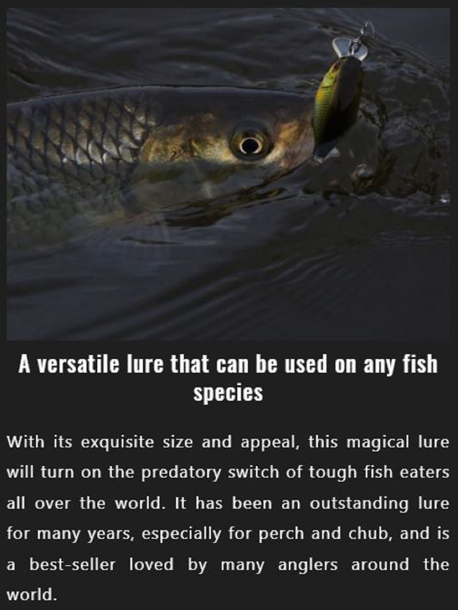 Jackall DD Chubby 38F Floating Lure UV Mat Silver Tiger (5397)