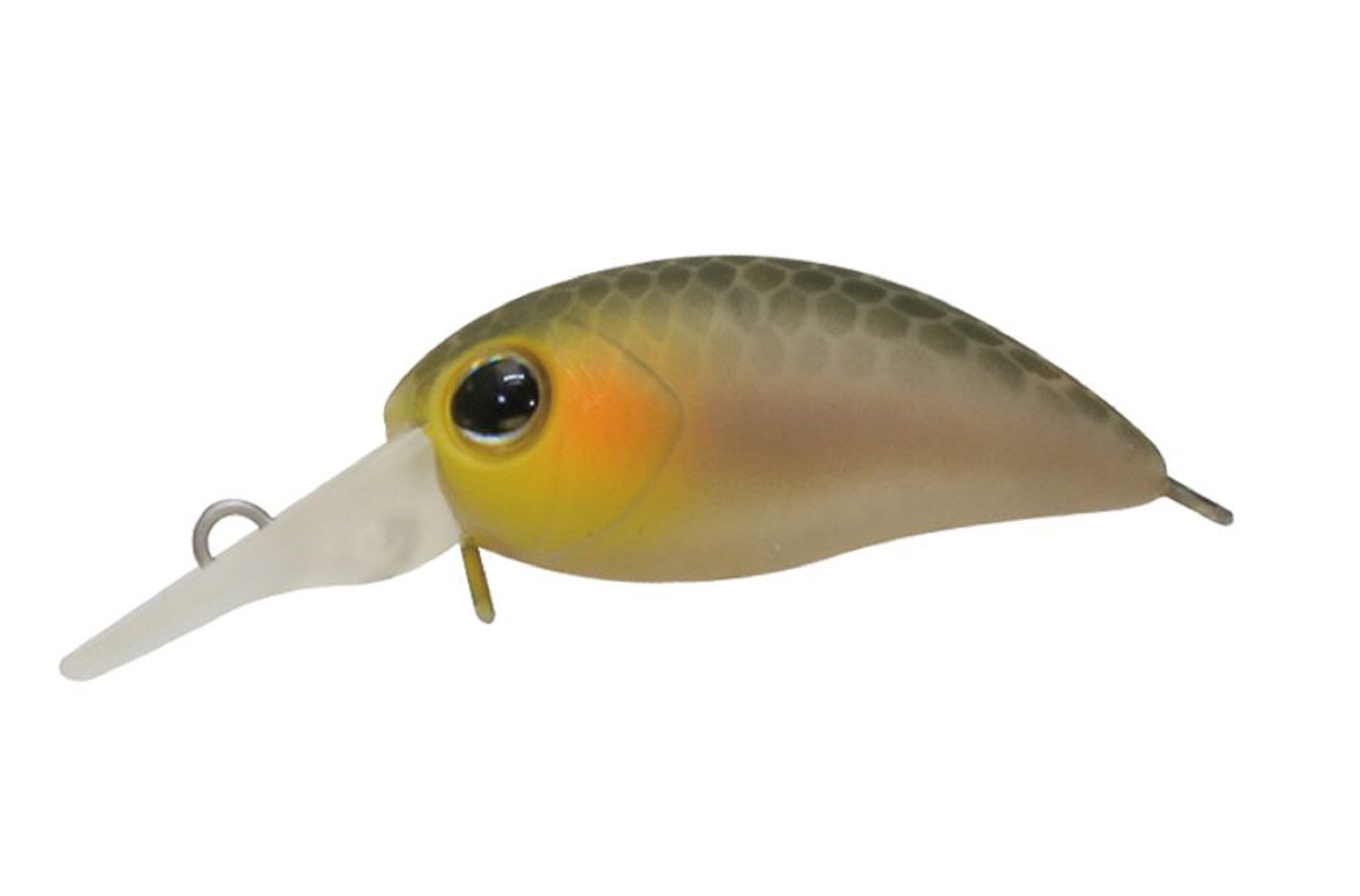 Jackall Timon Chibi Panicra DR 25 mm Floating Lure Bizin (1356)