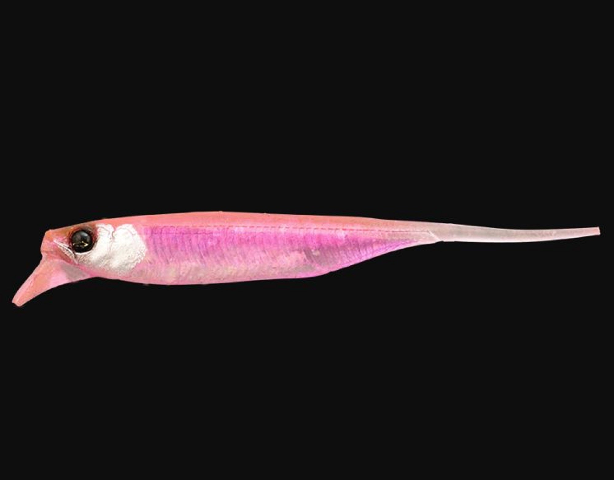 Jackall Soft Lure RV-Drift Fry 3 Inch Pink Wakasagi (2335)