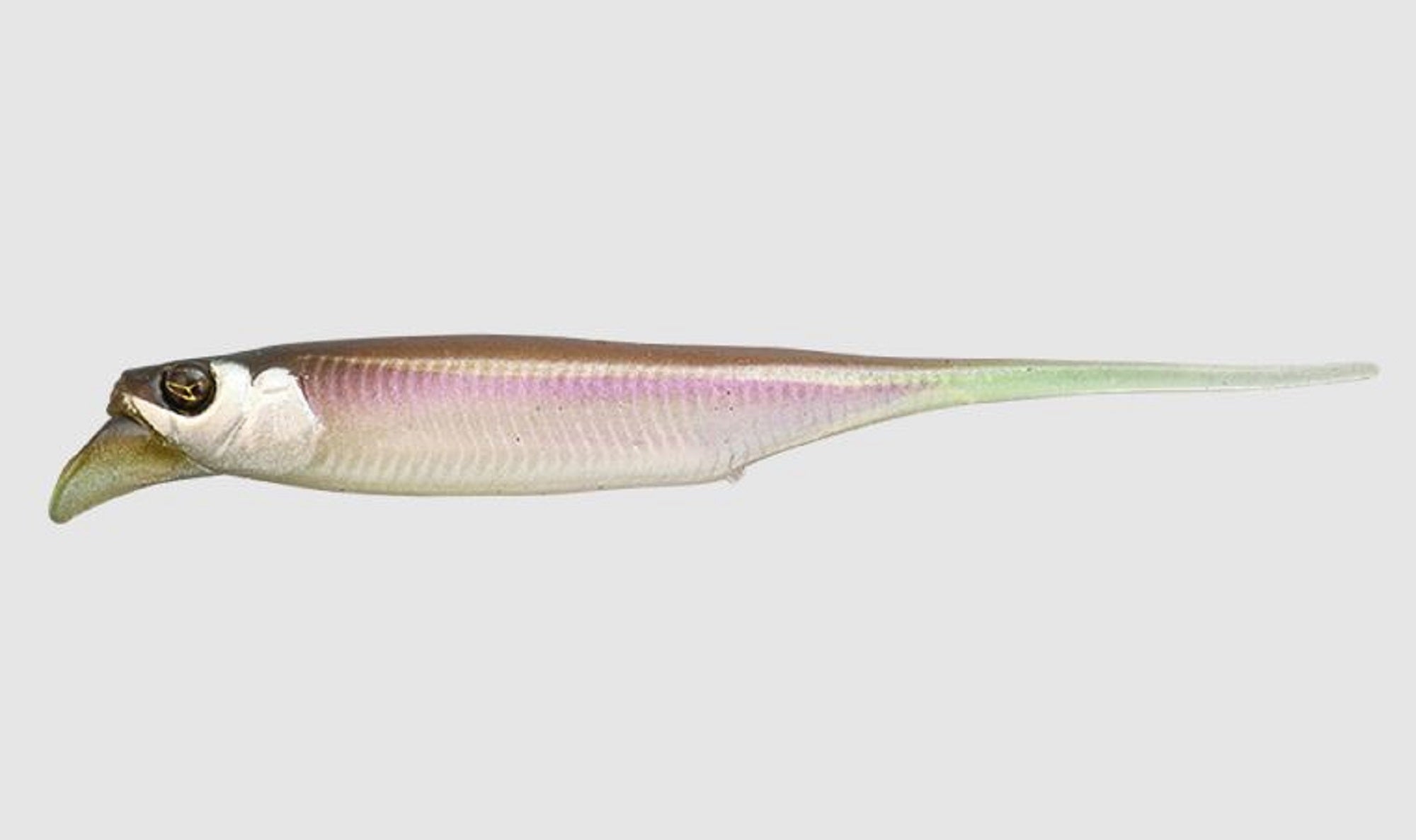 Jackall Soft Lure RV-Drift Fry 3 Inch Ghost Wakasagi (2342)