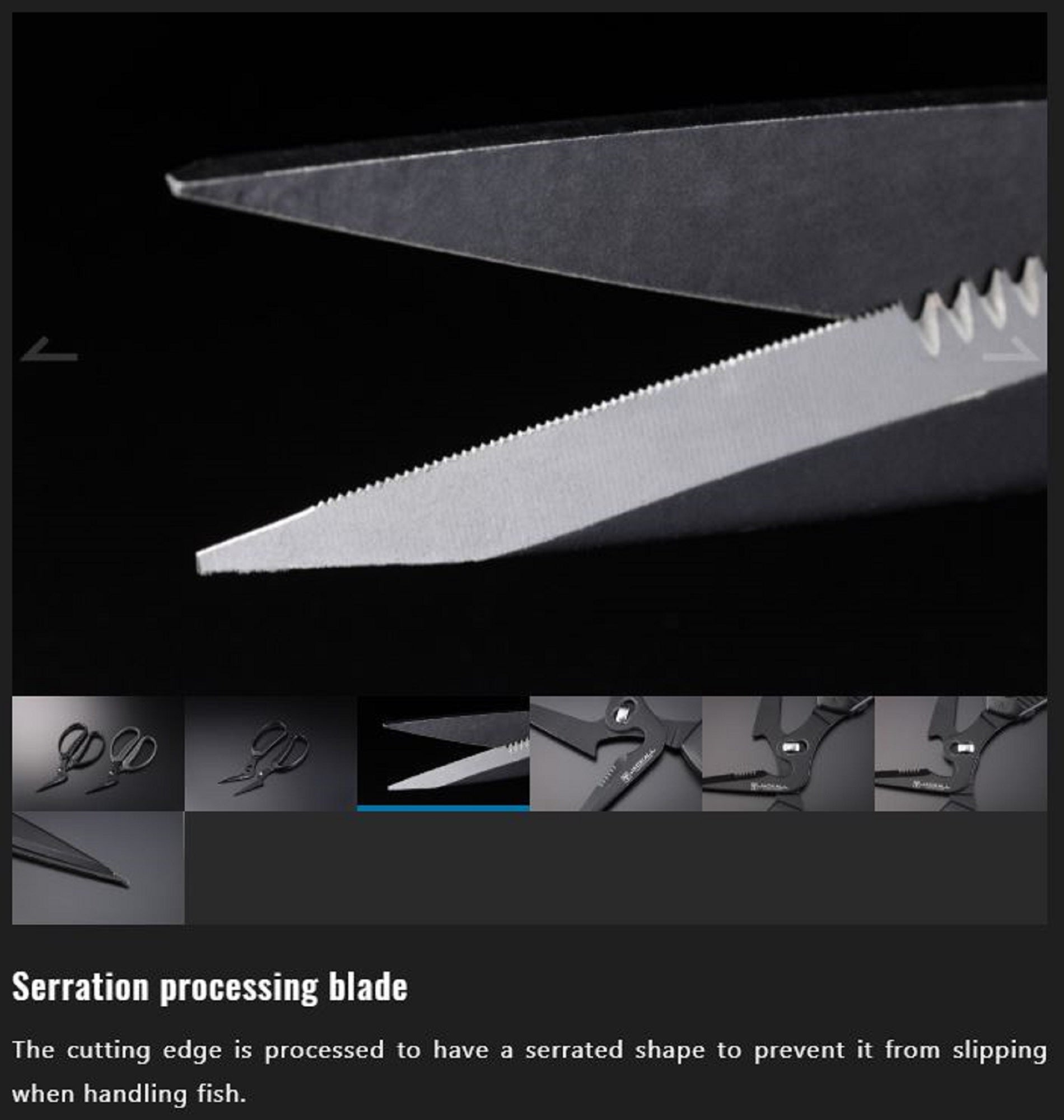 Jackall Seperatable Fish Scissors Black (7703)