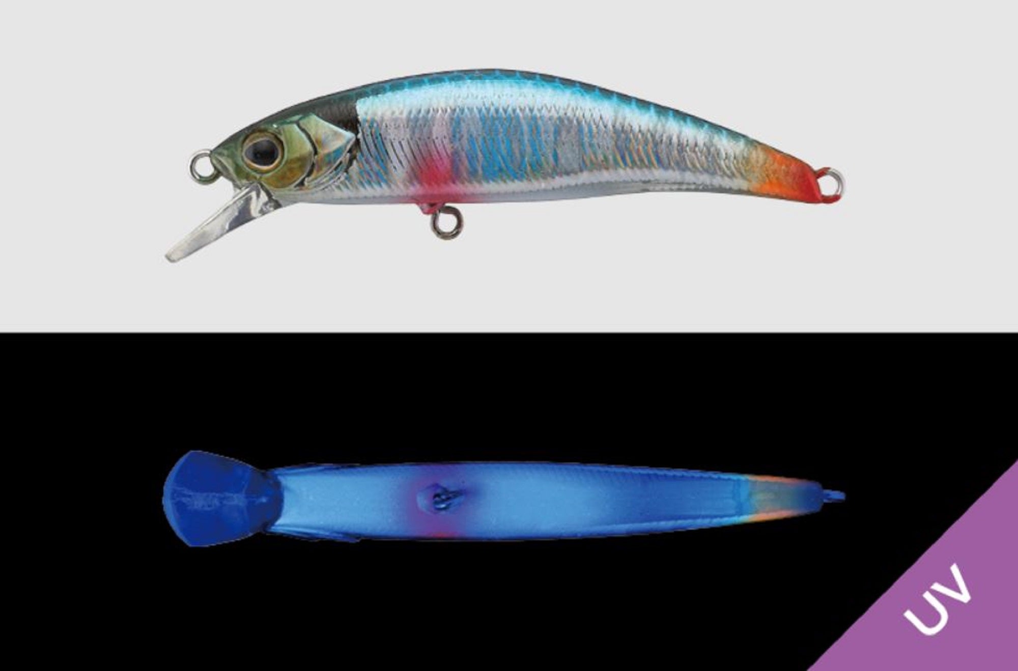 Jackall RGM Tricoroll Ryushin 53 HW Sinking Lure Blue Back (8076)