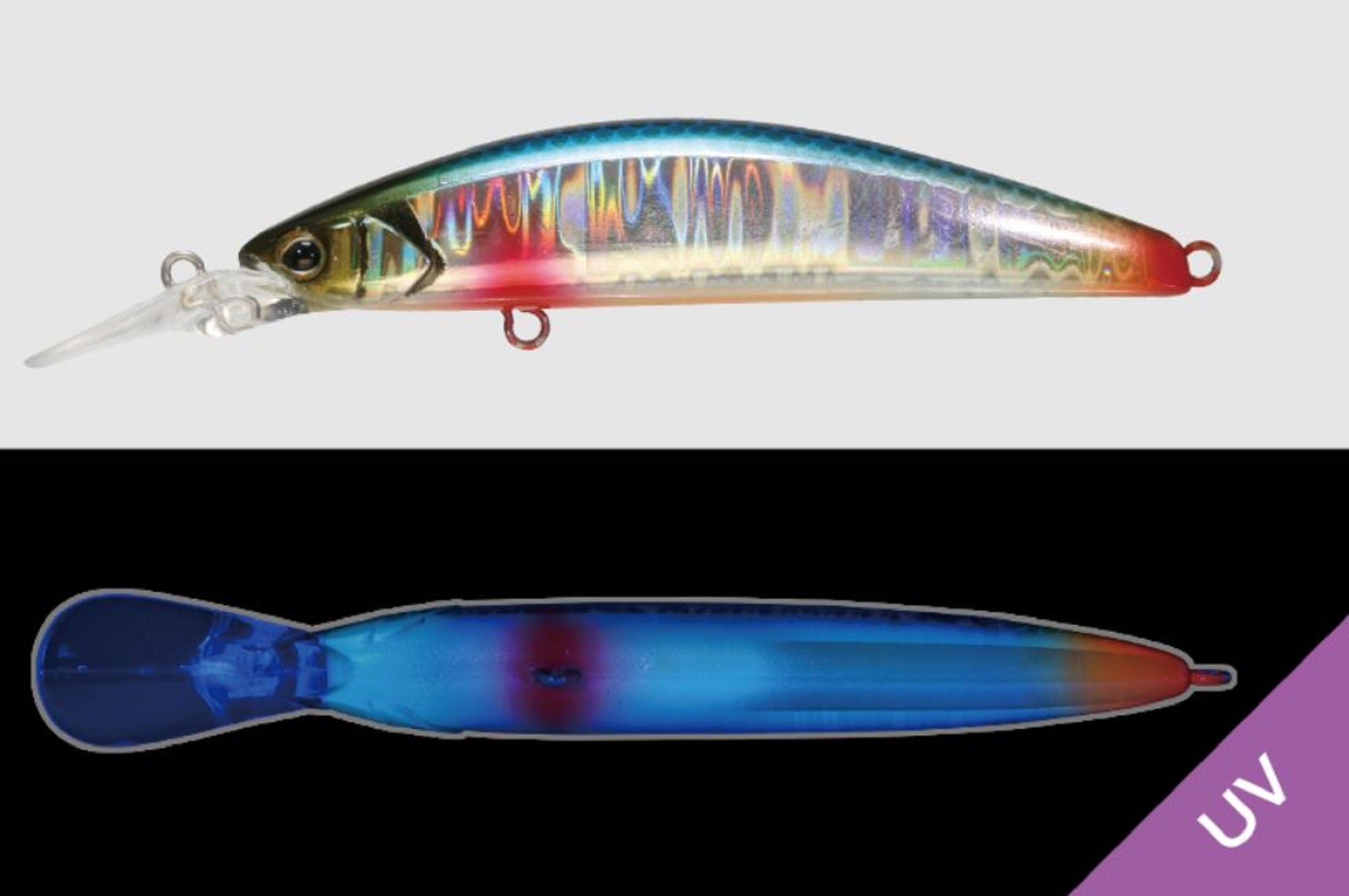 Jackall Timon Tricoroll GT 56 SR-F Floating Lure Yukishiro Blue Back (8137)
