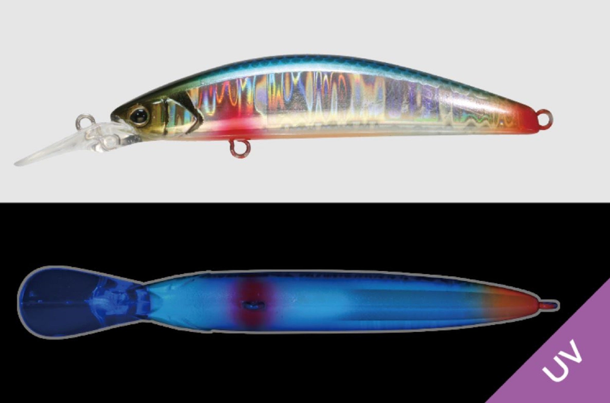 Jackall Timon Tricoroll GT 56 MD-F Floating Lure Blue Back (8168)