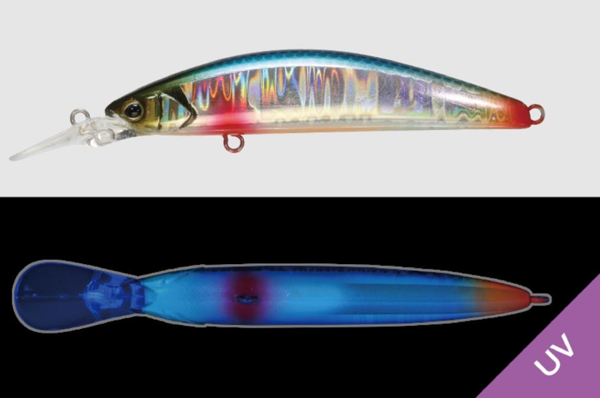 Jackall Timon Tricoroll GT 72 DR-F Floating Lure Blue Back (4007)