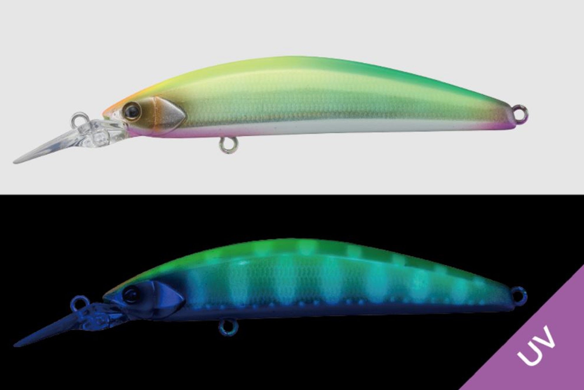 Jackall Timon Tricoroll GT 72 DR-F Floating Lure Parallel Chart (4045)