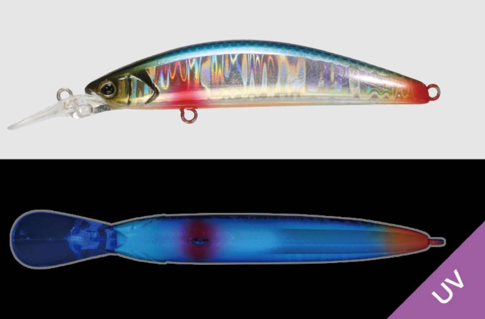 Jackall Timon Tricoroll GT 88 DR-F Floating Lure Blue Back (4120)