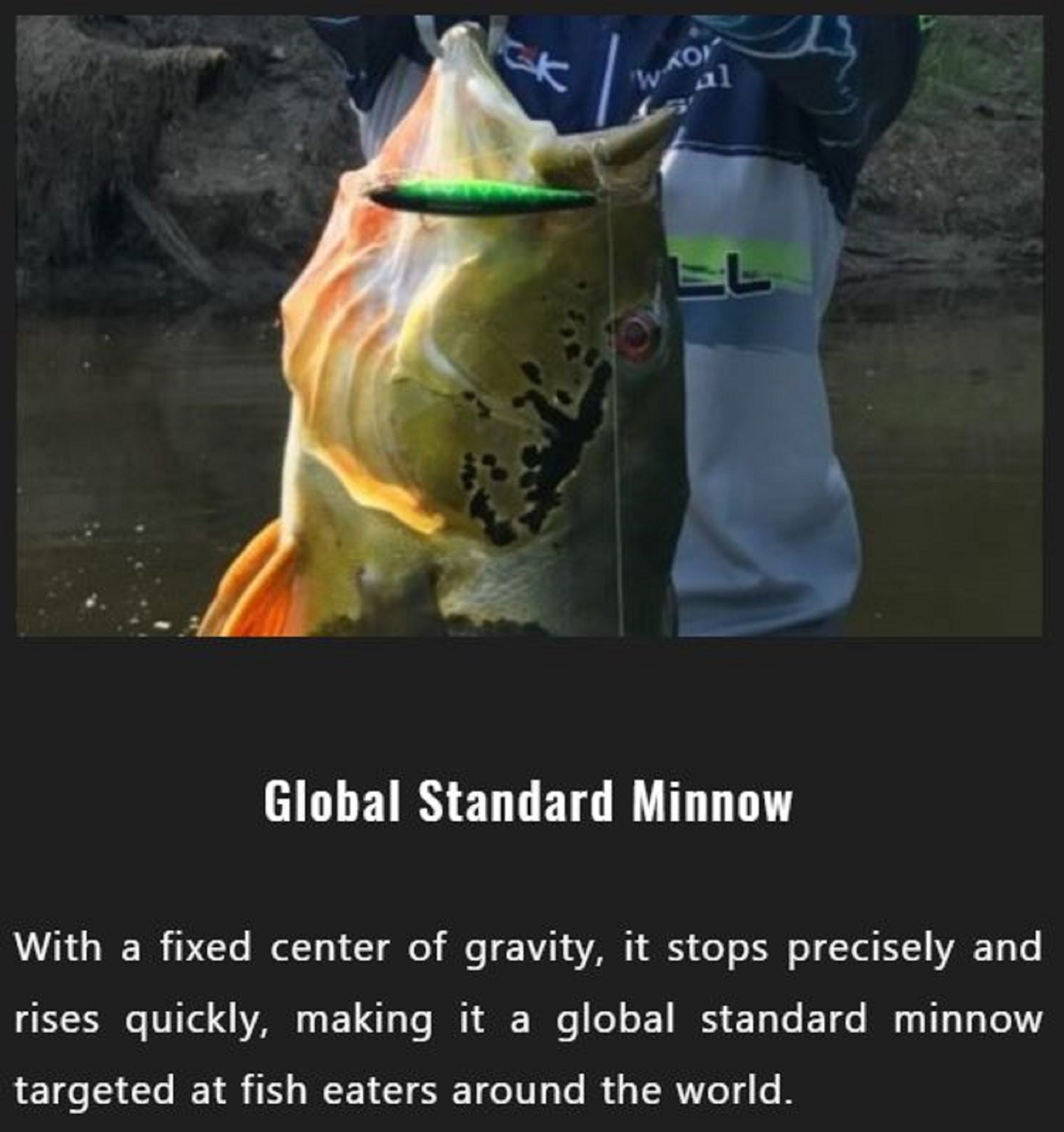Jackall Squad Minnow 65SP Suspend Lure UL Tamamushi (5981)