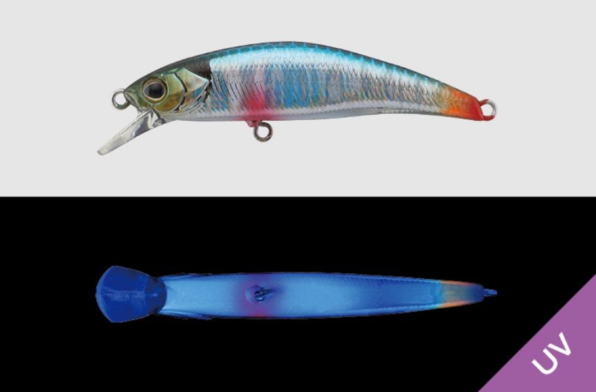 Jackall Timon Ryushin Knocker 63 HW Sinking Lure Blue Back (0716)