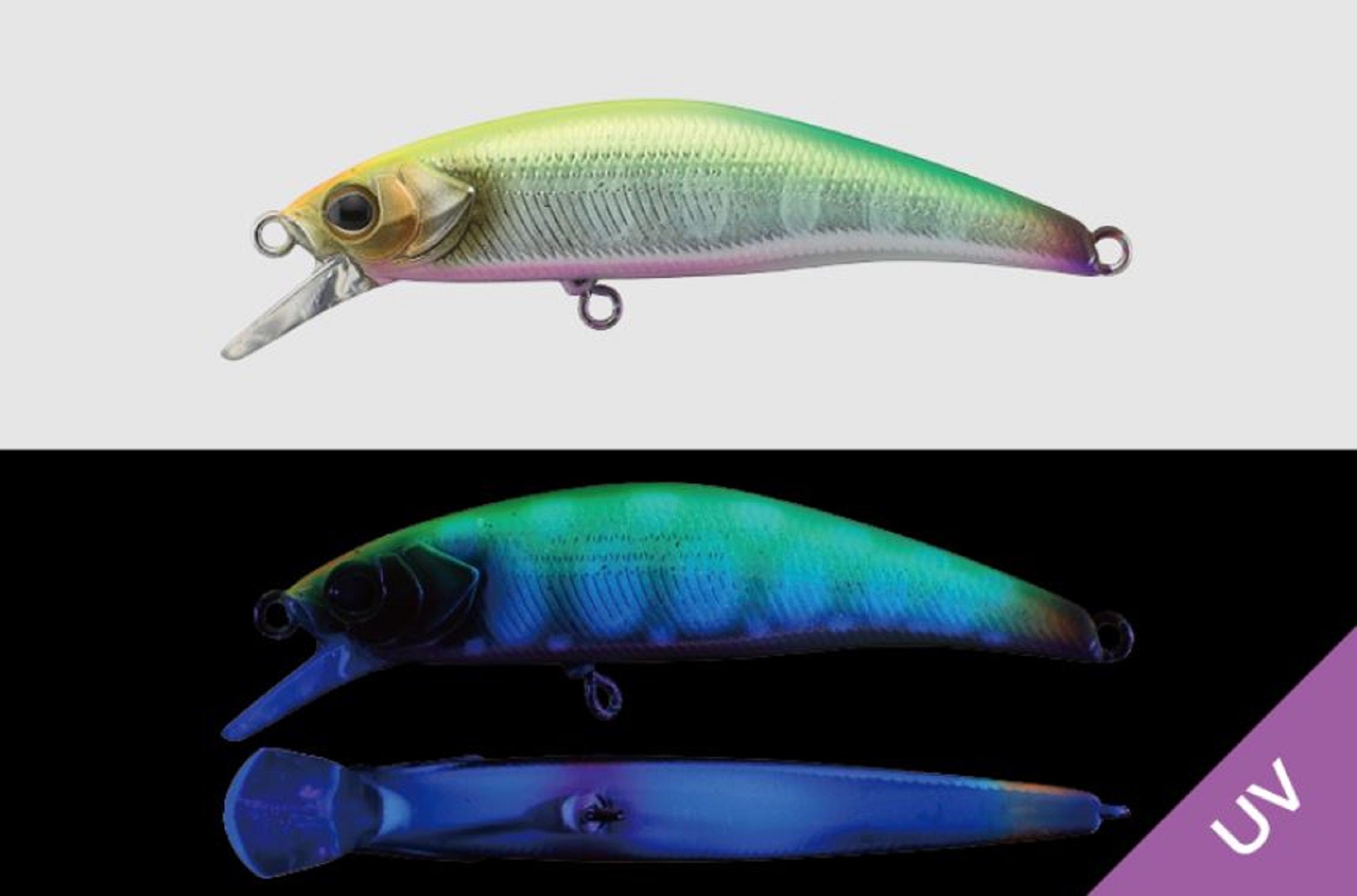 Jackall Timon Ryushin Knocker 70 HW Sinking Lure Parallel Chart (0822)