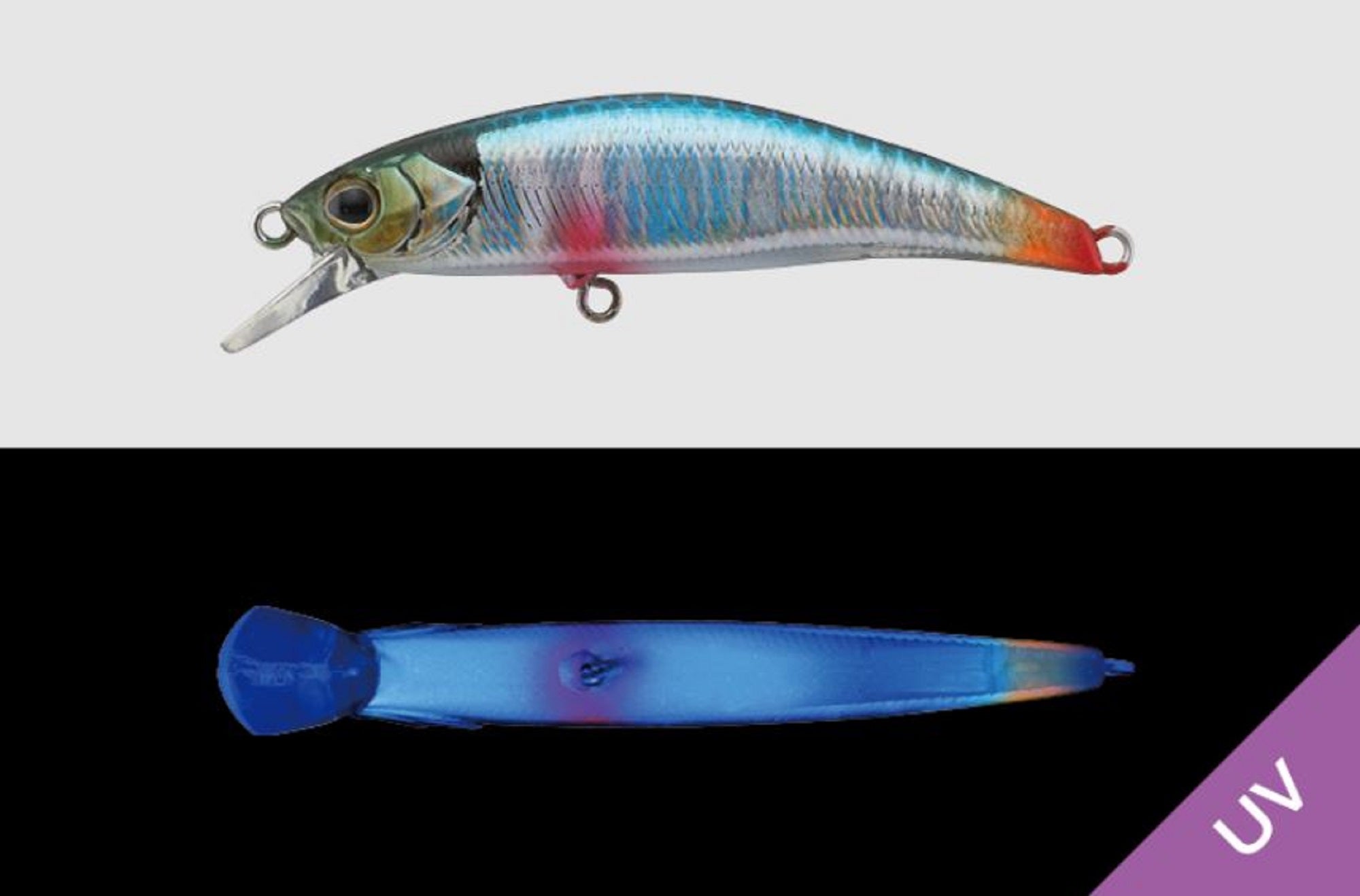 Jackall Timon Ryushin Knocker 70 HW Sinking Lure Blue Back (0839)