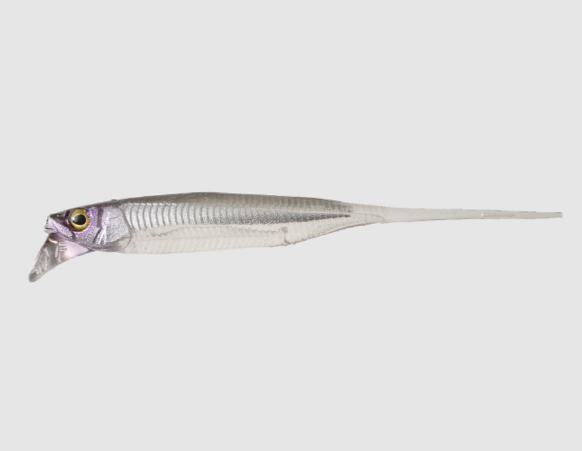 Jackall Soft Lure Drift Fry Elastomer 3 Inch Flashing Shad (1768)