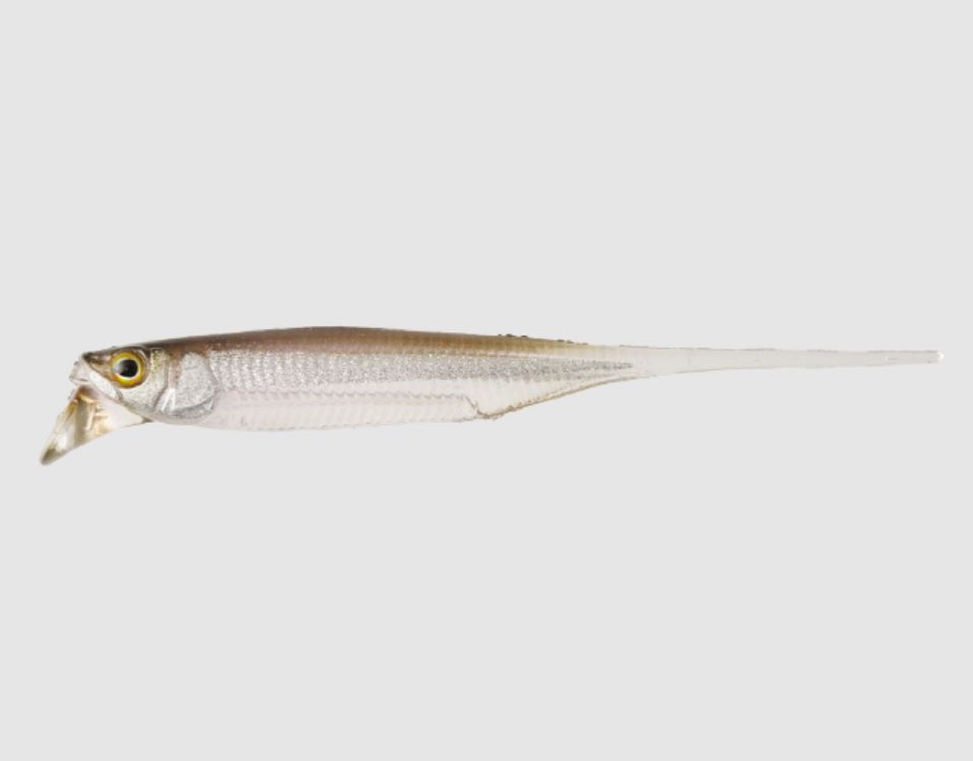 Jackall Soft Lure Drift Fry Elastomer 3 Inch Super Clear Wakasagi (1775)