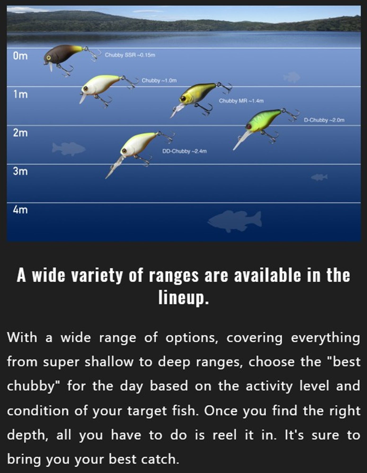 Jackall Chubby 41F Floating Lure Dragon Fruit Mat Tiger (5995)