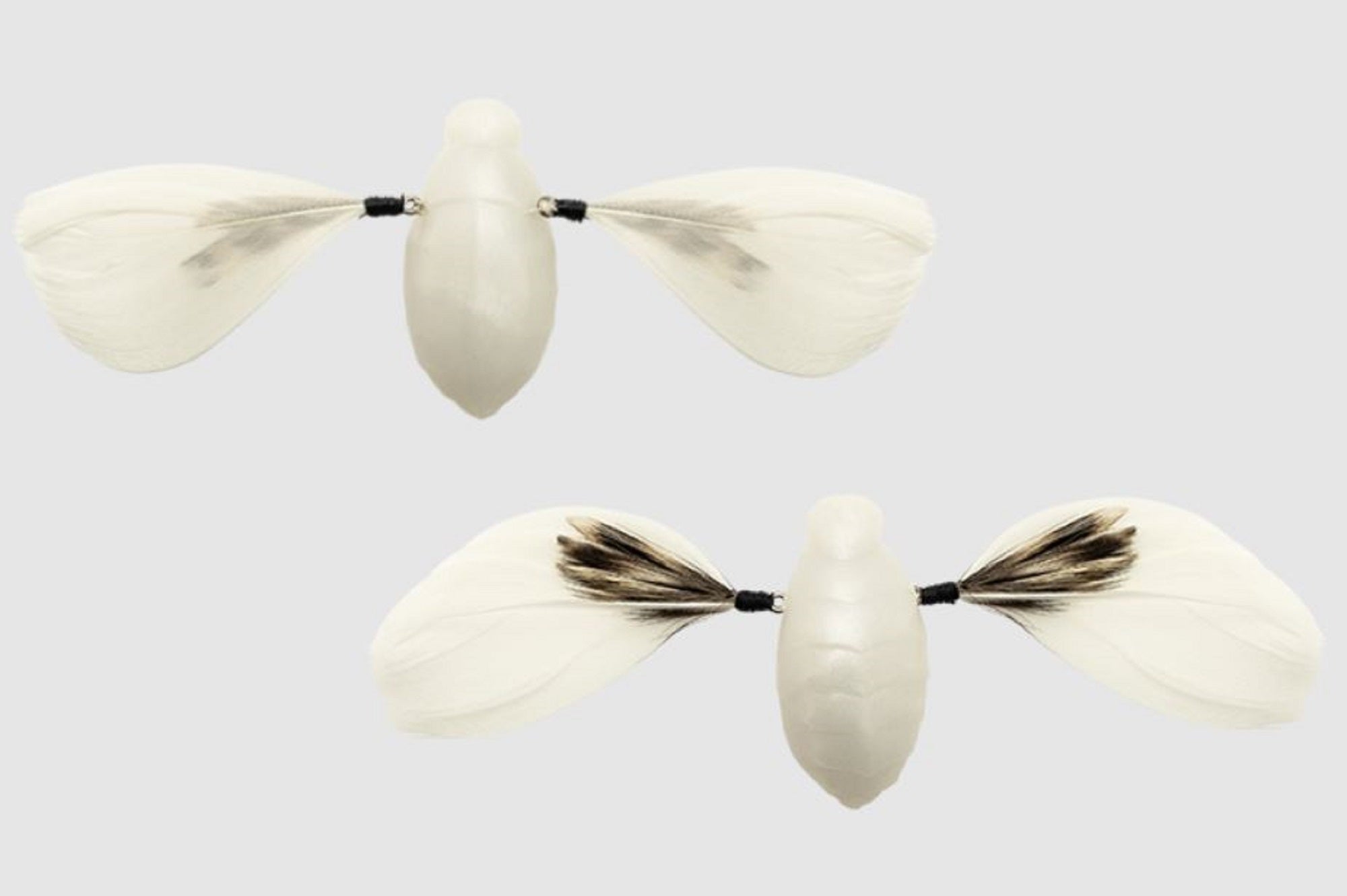 Jackall Need Cicada 35 mm 3.7 grams Floating Lure Whi (0807)