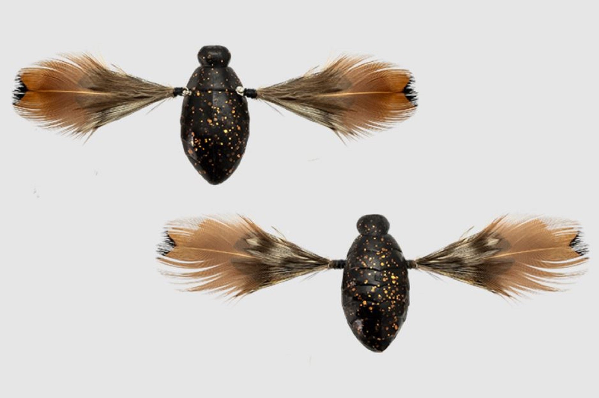 Jackall Need Cicada 35 mm 3.7 grams Floating Lure Black (0845)