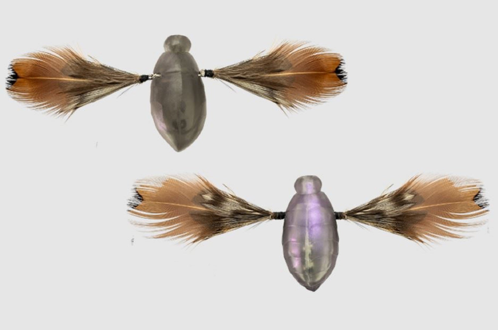 Jackall Need Cicada 35 mm 3.7 grams Floating Lure Magic (0869)
