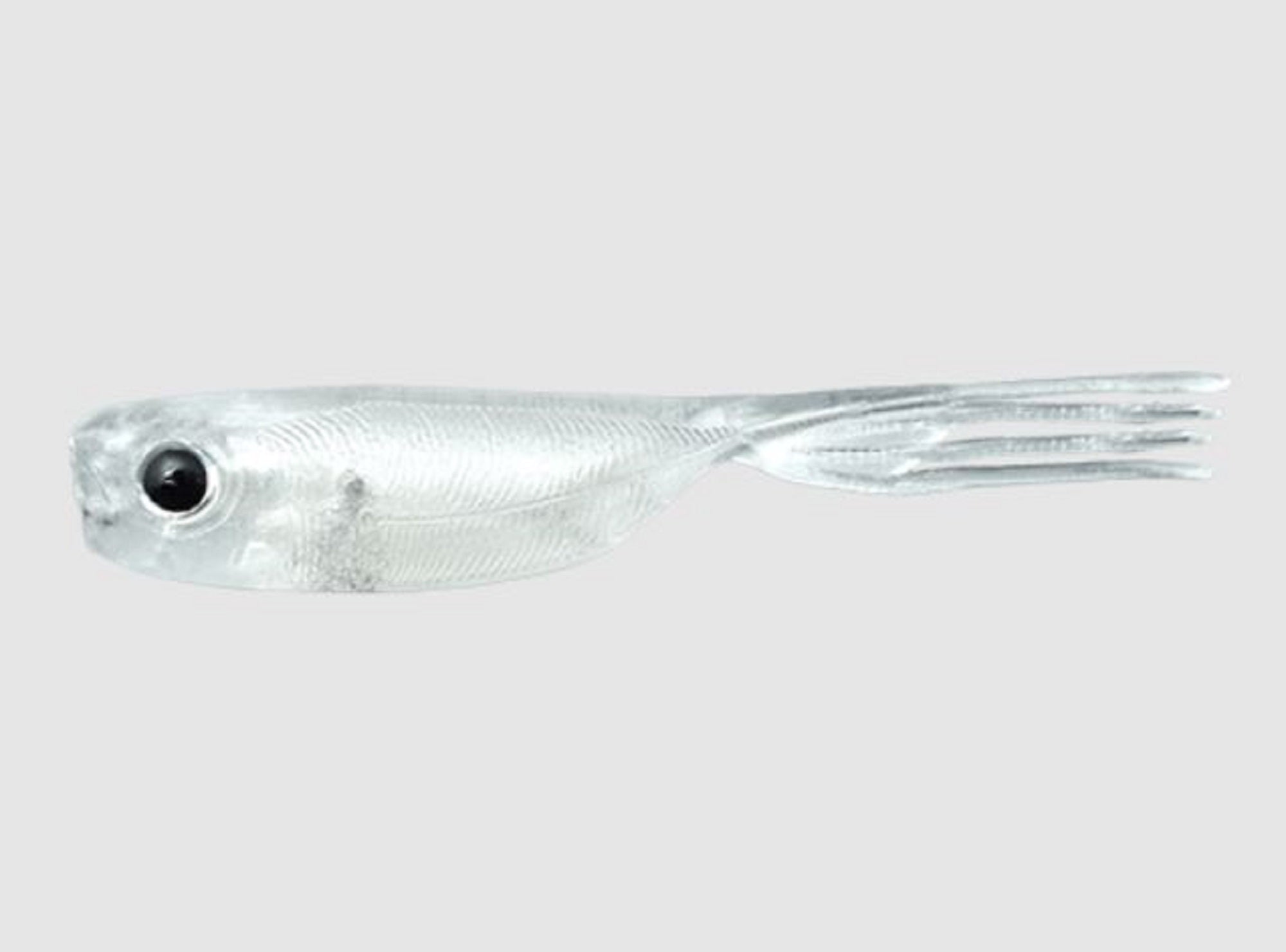 Sale Jackall Soft Lure Elise 1.5 Inch 7/pack Clear Core Pearl (2856)