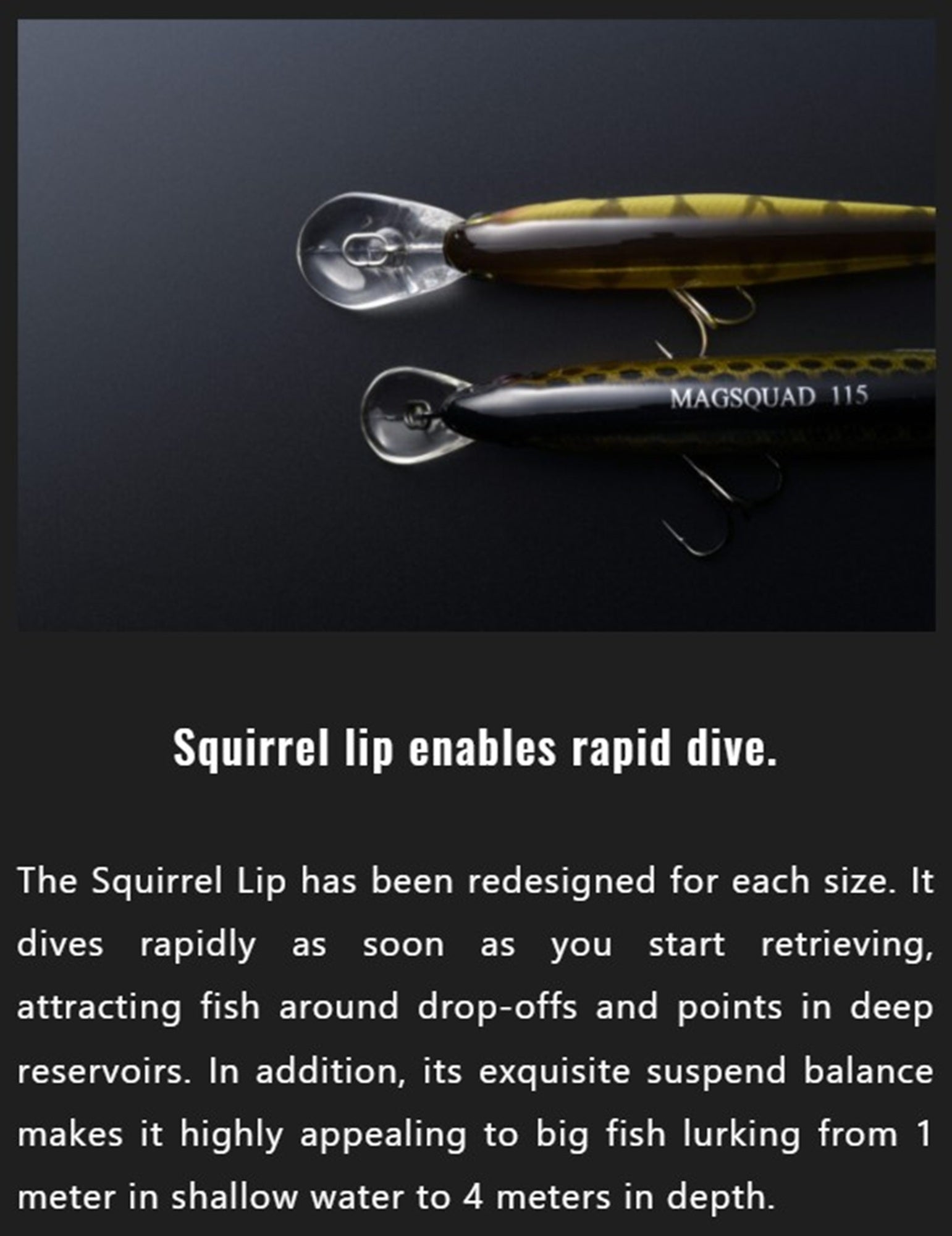 Jackall Squirrel 79SP Flat SDD Suspend Lure RT Uroko HL Wakasagi (9008)