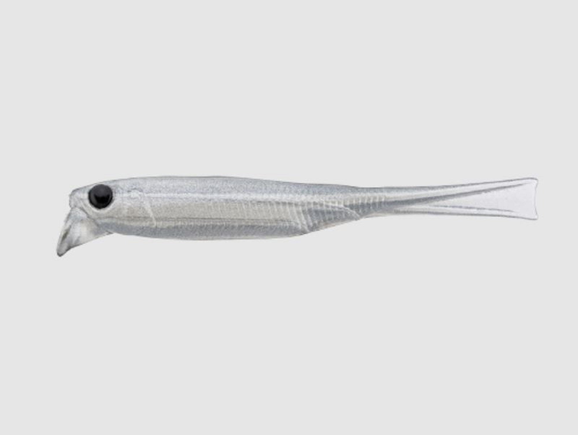 Jackall Soft Lure Drift Fry Elastomer 2.5 Inch Confidence Smoke (8746)