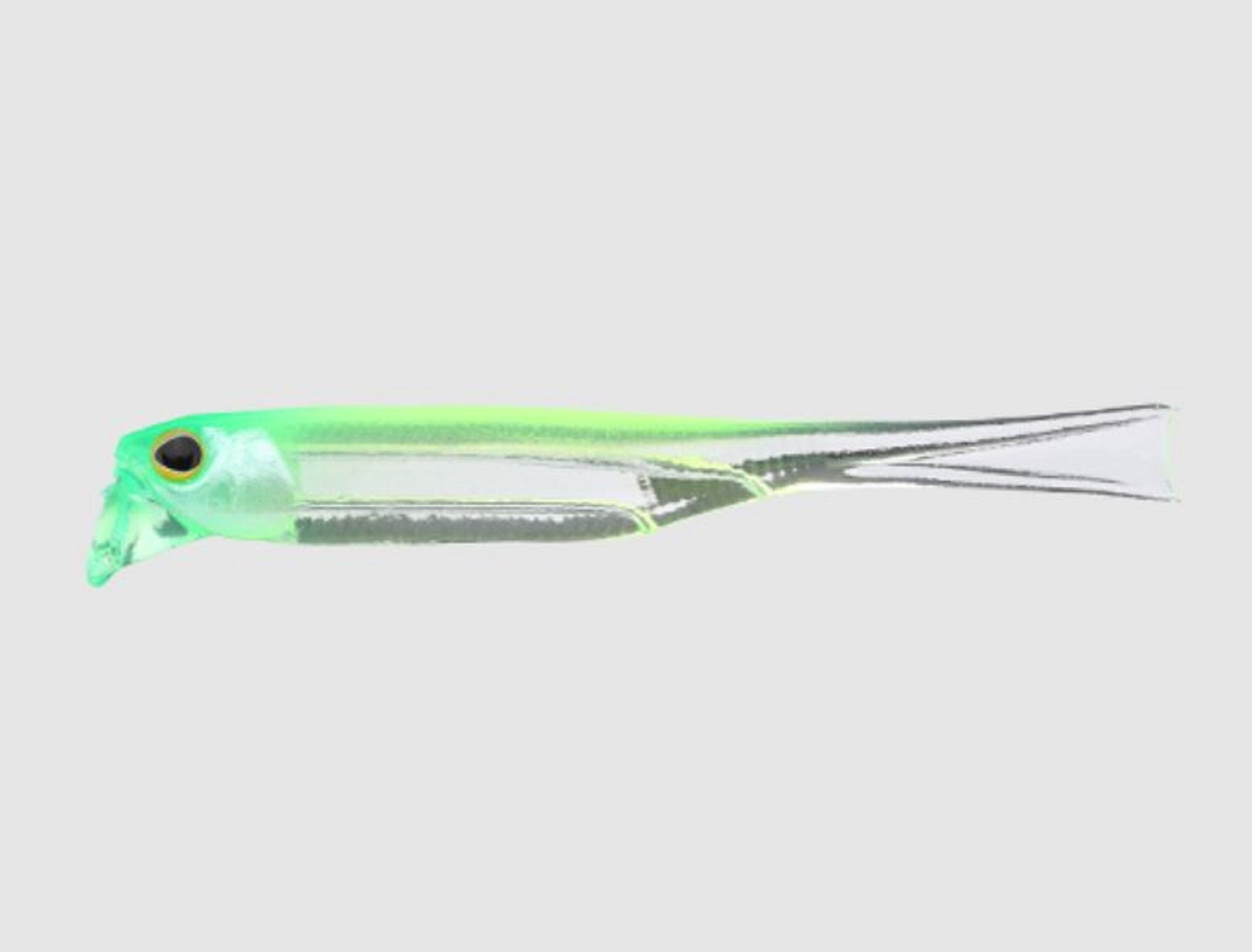 Jackall Soft Lure Drift Fry Elastomer 2.5 Inch Chartreuse Back Clear (8753)